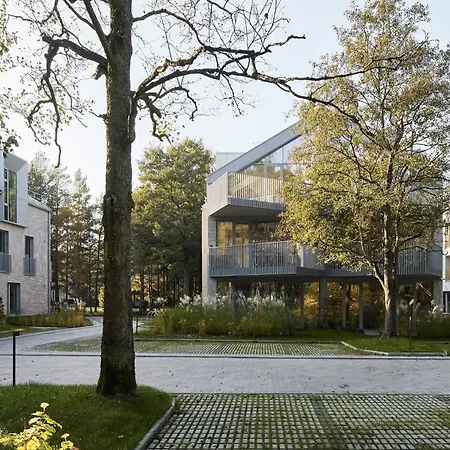 Dunevalley * Palanga