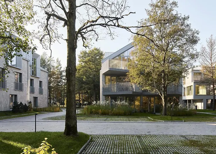 Dunevalley * 팔랑가